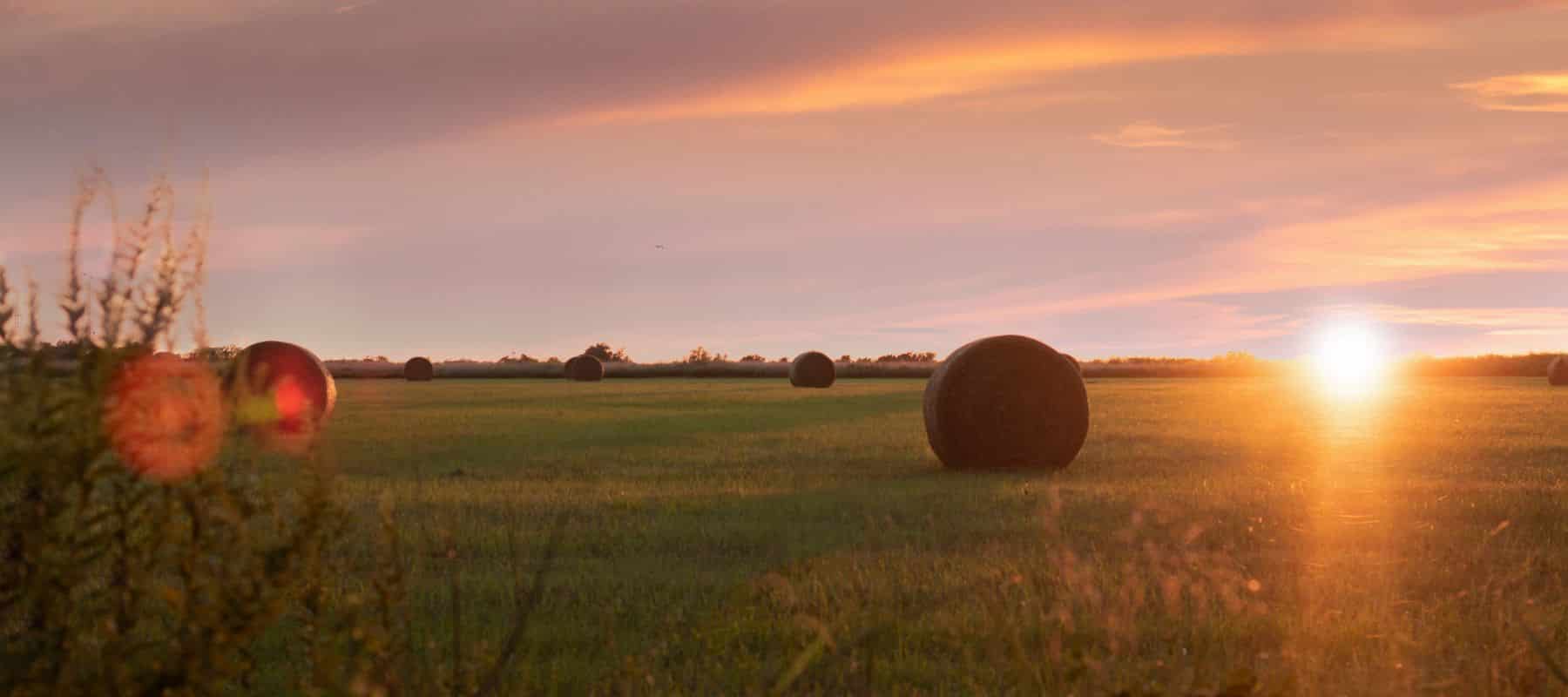 an open green field that has bails of hay rolled and sitting throughout the area at sunset